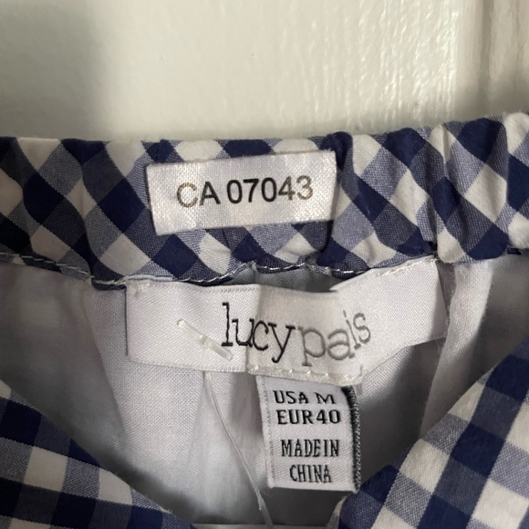 Gingham mini dress- Navy & White- Lucy Paris - Picture 2 of 3